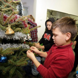 SUBOTICAcom 21Dec2016 Pravnifakultet 1145216