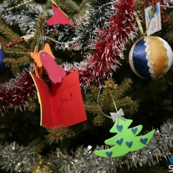 SUBOTICAcom 21Dec2016 Pravnifakultet 1145238