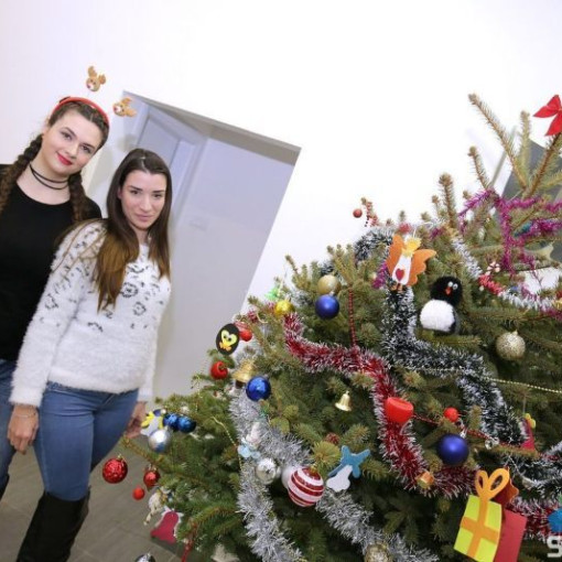 SUBOTICAcom 21Dec2016 Pravnifakultet 1145245